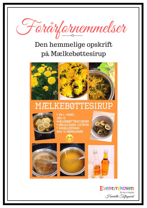 Frebiee Opskrifter (3)